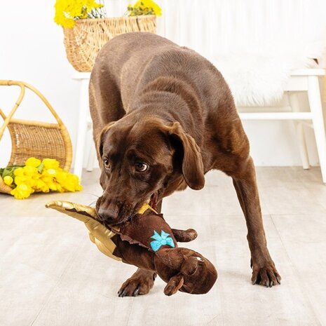 Petshop by Fringe studio Fringe Choc-a-saurus Rex