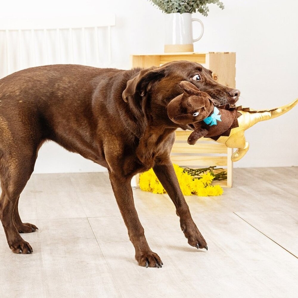 Petshop by Fringe studio Fringe Choc-a-saurus Rex