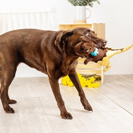 Petshop by Fringe studio Fringe Choc-a-saurus Rex