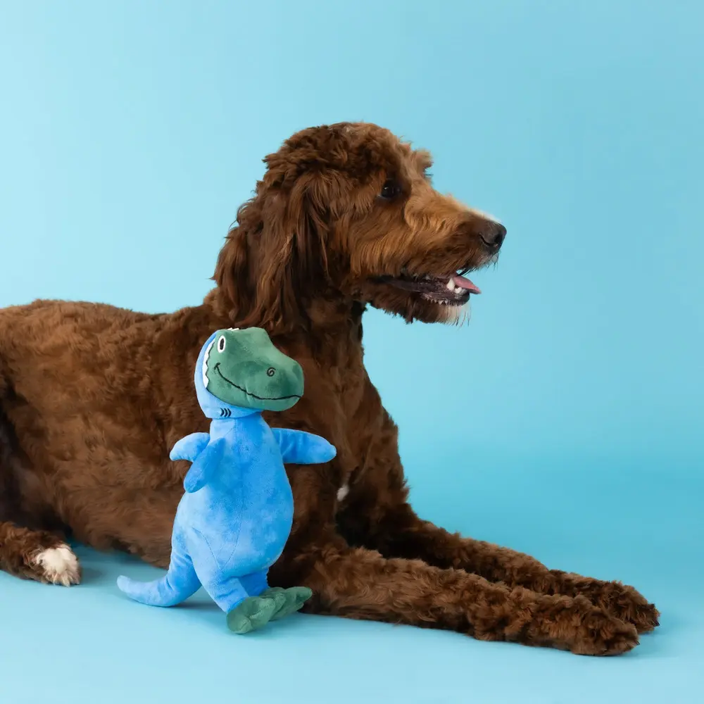 Petshop by Fringe studio Fringe Shark Rex