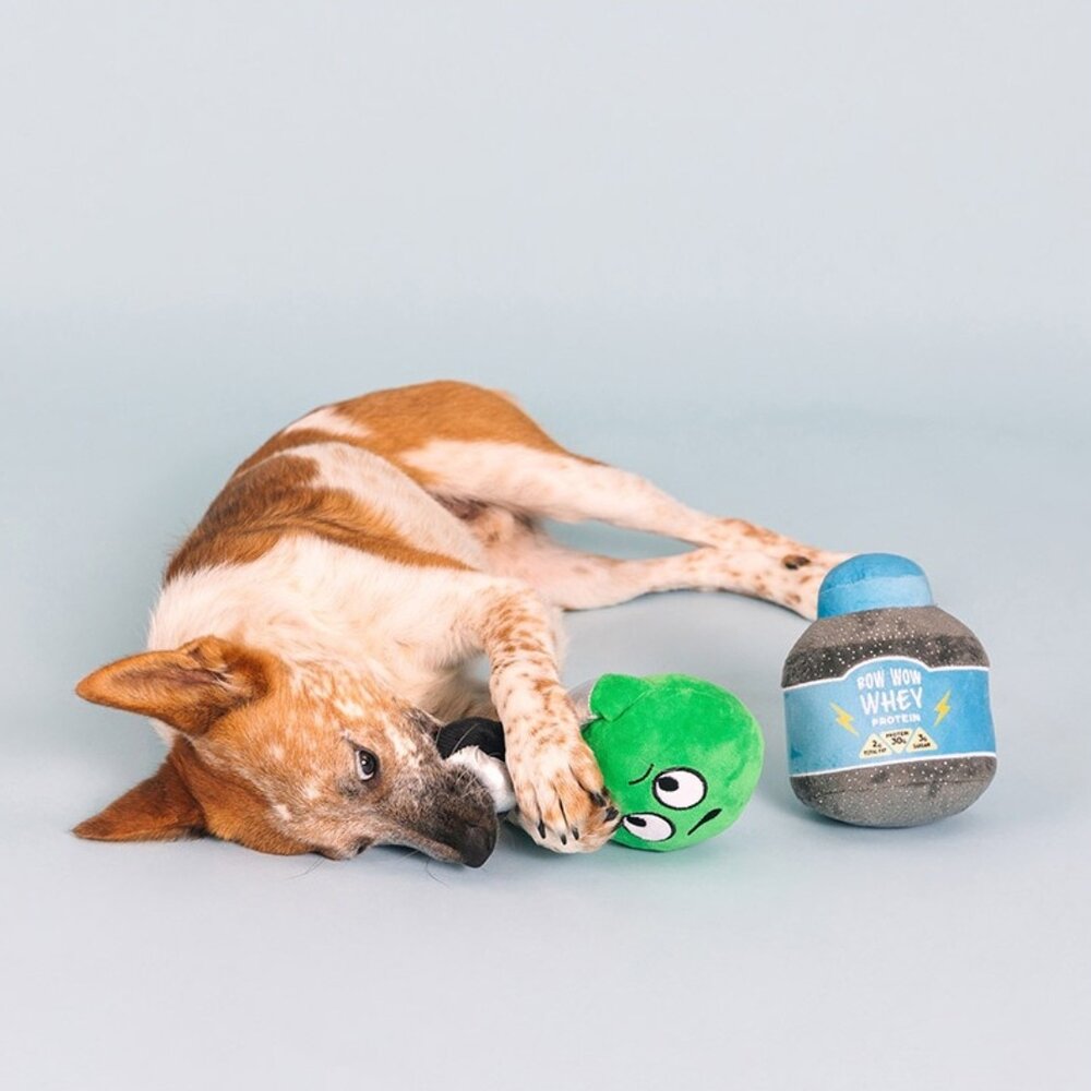 Petshop by Fringe studio Fringe Set Sore today, strong tomorrow