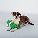Petshop by Fringe studio Fringe Summa time rex