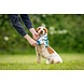 Non Stop Dogwear Non Stop Dogwear Cooling Pull-on