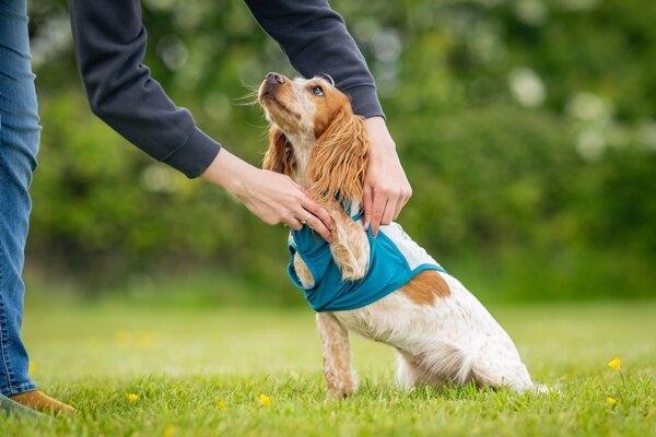 Non Stop Dogwear Non Stop Dogwear Cooling Pull-on