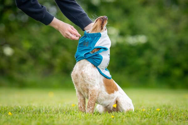 Non Stop Dogwear Non Stop Dogwear Cooling Pull-on