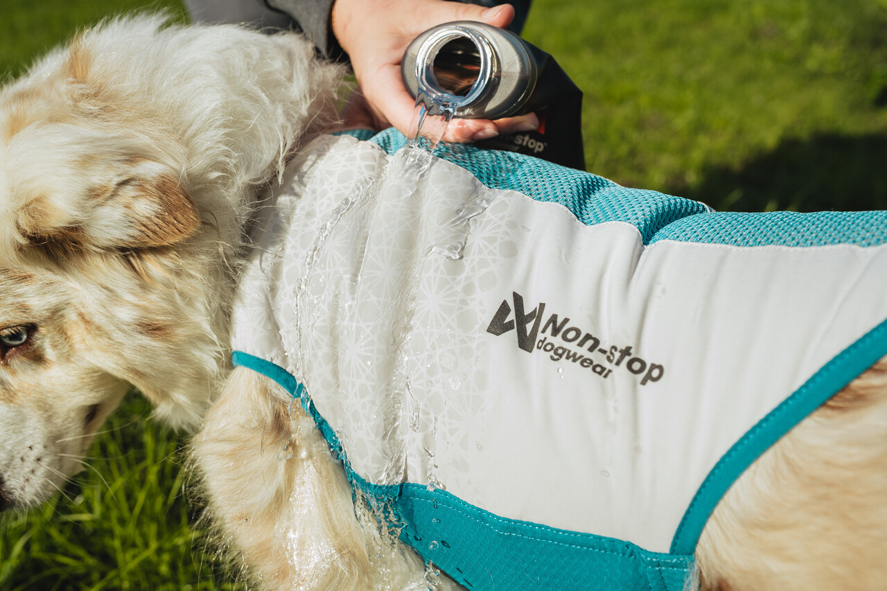 Non Stop Dogwear Non Stop Dogwear Cooling Pull-on