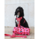 Dukier Dukier Reis en Ligmat Berry Love Dukier Dukier Reis en Ligmat Berry Love