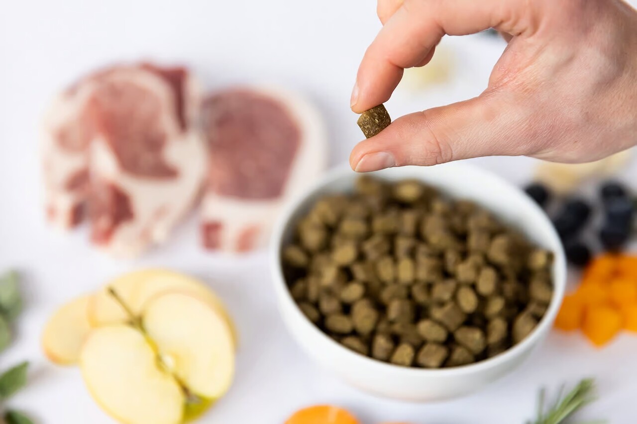 Ydolo YDOLO Healthy & Pure Iberico Ydolo YDOLO Healthy & Pure Iberico