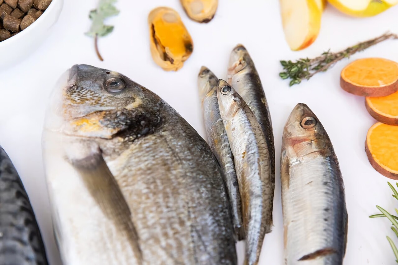 Ydolo YDOLO Healthy & Pure Wild Fish Ydolo YDOLO Healthy & Pure Wild Fish