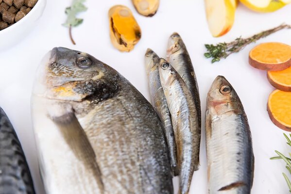 Ydolo YDOLO Healthy & Pure Wild Fish Ydolo YDOLO Healthy & Pure Wild Fish