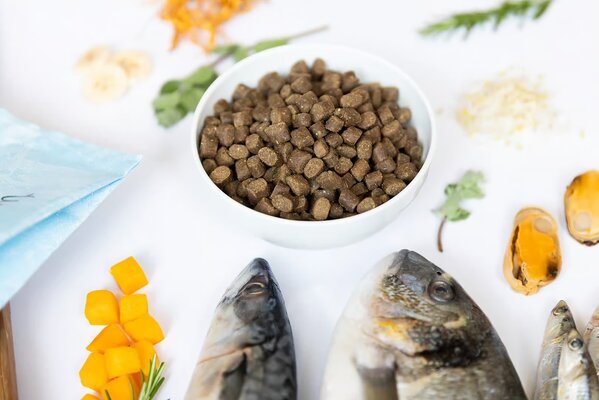 Ydolo YDOLO Healthy & Pure Wild Fish Ydolo YDOLO Healthy & Pure Wild Fish
