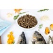 Ydolo YDOLO Healthy & Pure Wild Fish Ydolo YDOLO Healthy & Pure Wild Fish