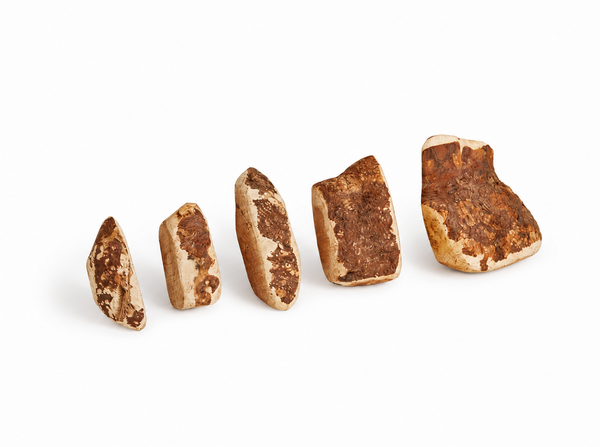 Country Roots Petfoods Country Roots Petfood Briarwood Country Roots Petfoods Country Roots Petfood Briarwood