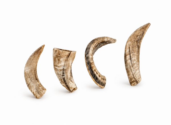 Country Roots Petfoods Country Roots Petfood Schapenhoorn Country Roots Petfoods Country Roots Petfood Schapenhoorn