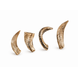 Country Roots Petfoods Country Roots Petfood Schapenhoorn Country Roots Petfoods Country Roots Petfood Schapenhoorn