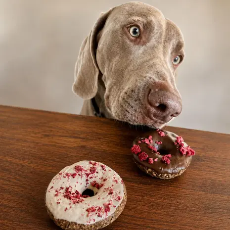 Cooka's Cookies Cooka's Cookies Choco Berry Dog Donuts