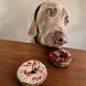 Cooka's Cookies Cooka's Cookies Choco Berry Dog Donuts