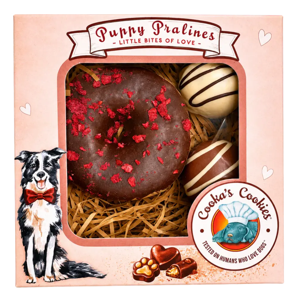 Cooka's Cookies Cooka's Cookies Puppy Pralines