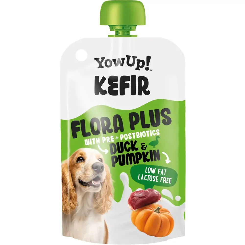 YowUp! Yowup! Kefir Eend & Pompoen