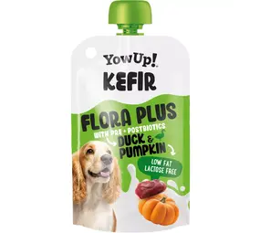 YowUp! Yowup! Kefir Eend & Pompoen