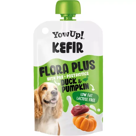 YowUp! Yowup! Kefir Eend & Pompoen