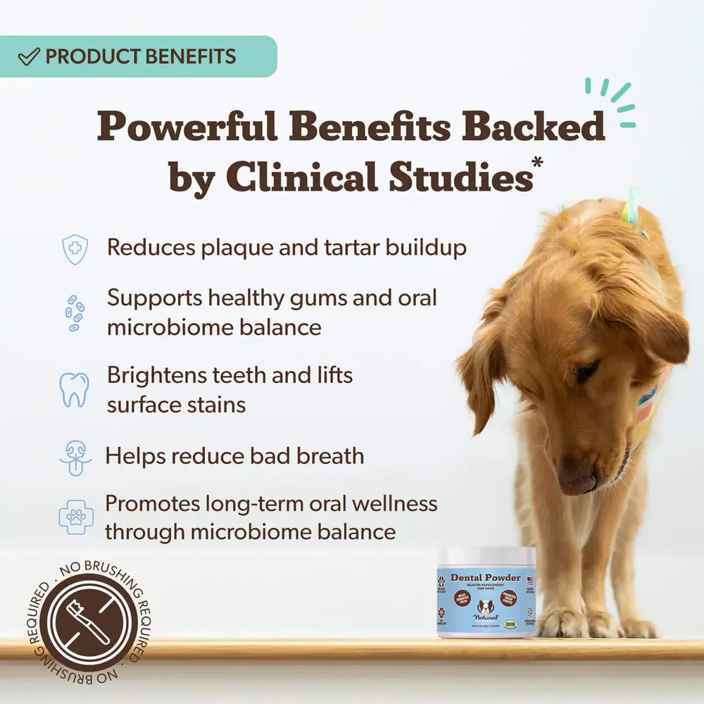 Natural Dog Company Natural Dog Company Dental Powder