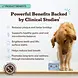 Natural Dog Company Natural Dog Company Dental Powder