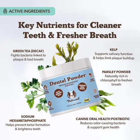 Natural Dog Company Natural Dog Company Dental Powder