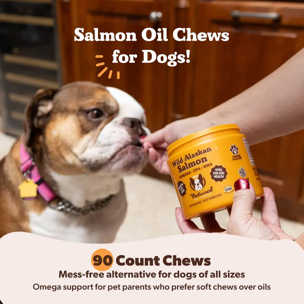 Natural Dog Company Natural Dog Company Wild Alaskan Salmon Chews Natural Dog Company Natural Dog Company Wild Alaskan Salmon Chews
