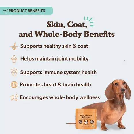Natural Dog Company Natural Dog Company Wild Alaskan Salmon Chews Natural Dog Company Natural Dog Company Wild Alaskan Salmon Chews