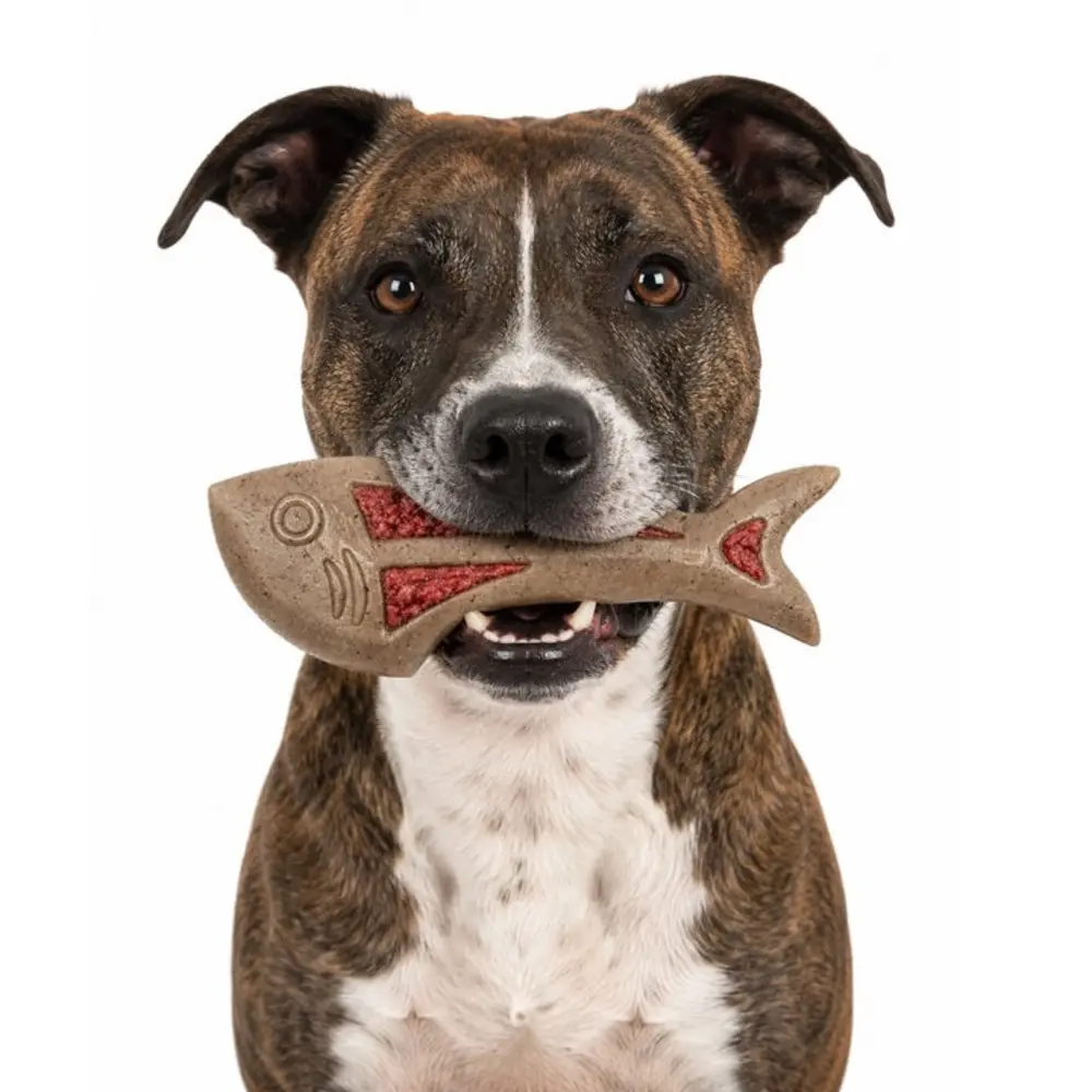Sodapup Sodapup Nylon Dog Fish Chew Toy