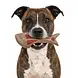 Sodapup Sodapup Nylon Dog Fish Chew Toy