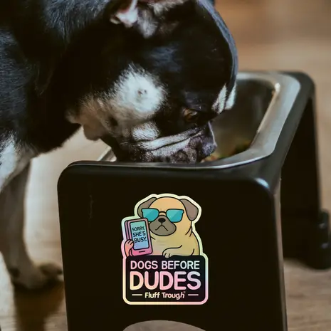 Fluff Trough Fluff Trough Sticker Dogs Before Dudes