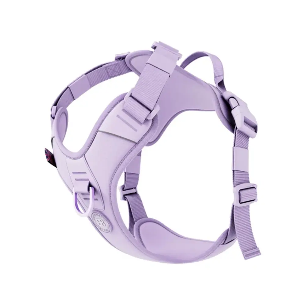 BullyBillows Bullybillows Hurricane Lighter Harness