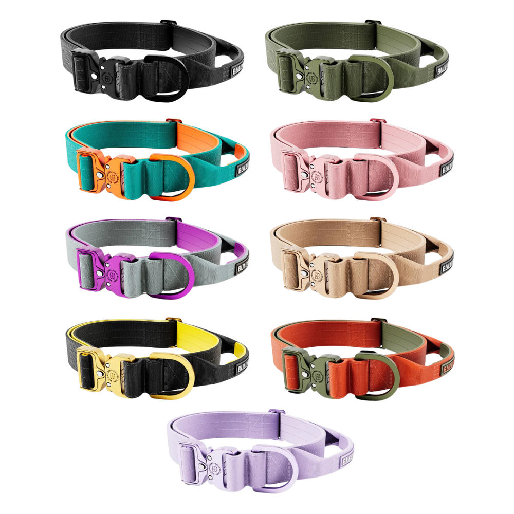 BullyBillows Bullybillows Lighter Combat Collar 4cm BullyBillows Bullybillows Lighter Combat Collar 4cm