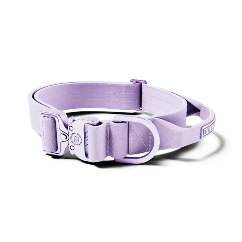 BullyBillows Bullybillows Lighter Combat Collar 4cm BullyBillows Bullybillows Lighter Combat Collar 4cm