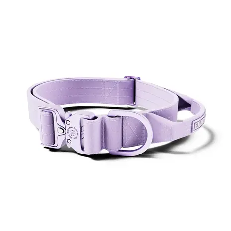 BullyBillows Bullybillows Lighter Combat Collar 4cm BullyBillows Bullybillows Lighter Combat Collar 4cm