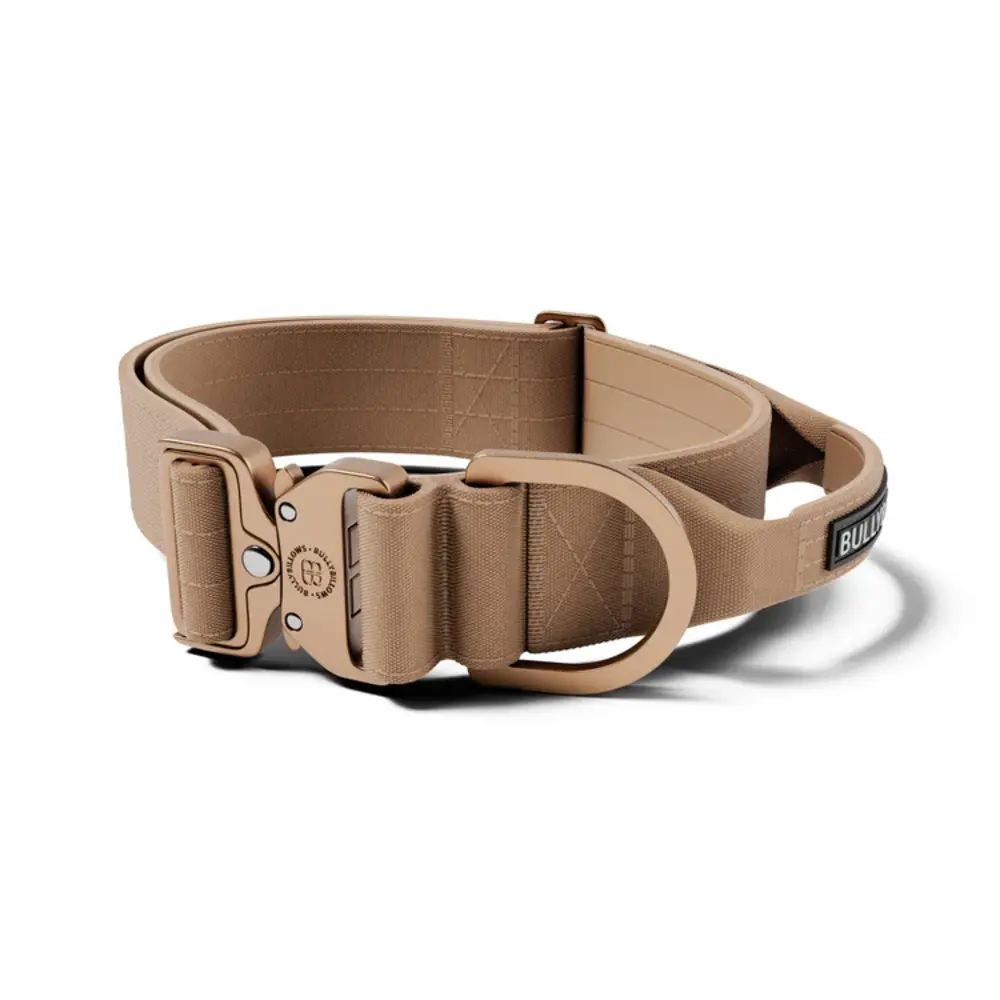 BullyBillows Bullybillows Lighter Combat Collar 5cm BullyBillows Bullybillows Lighter Combat Collar 5cm