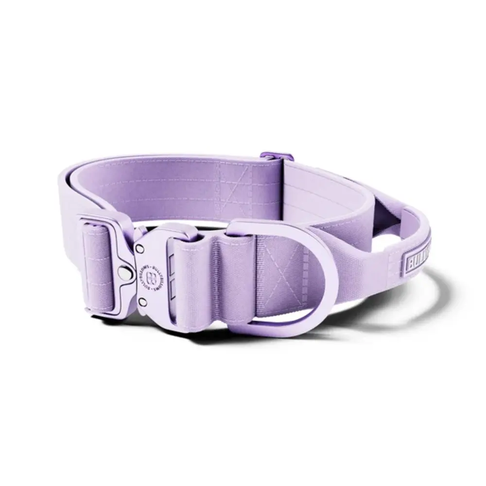 BullyBillows Bullybillows Lighter Combat Collar 5cm BullyBillows Bullybillows Lighter Combat Collar 5cm