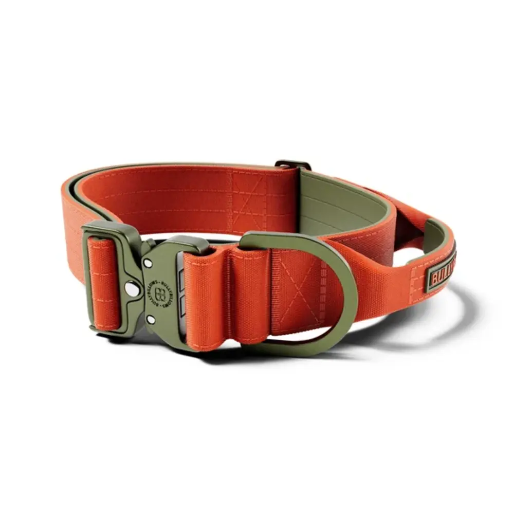 BullyBillows Bullybillows Lighter Combat Collar 5cm BullyBillows Bullybillows Lighter Combat Collar 5cm
