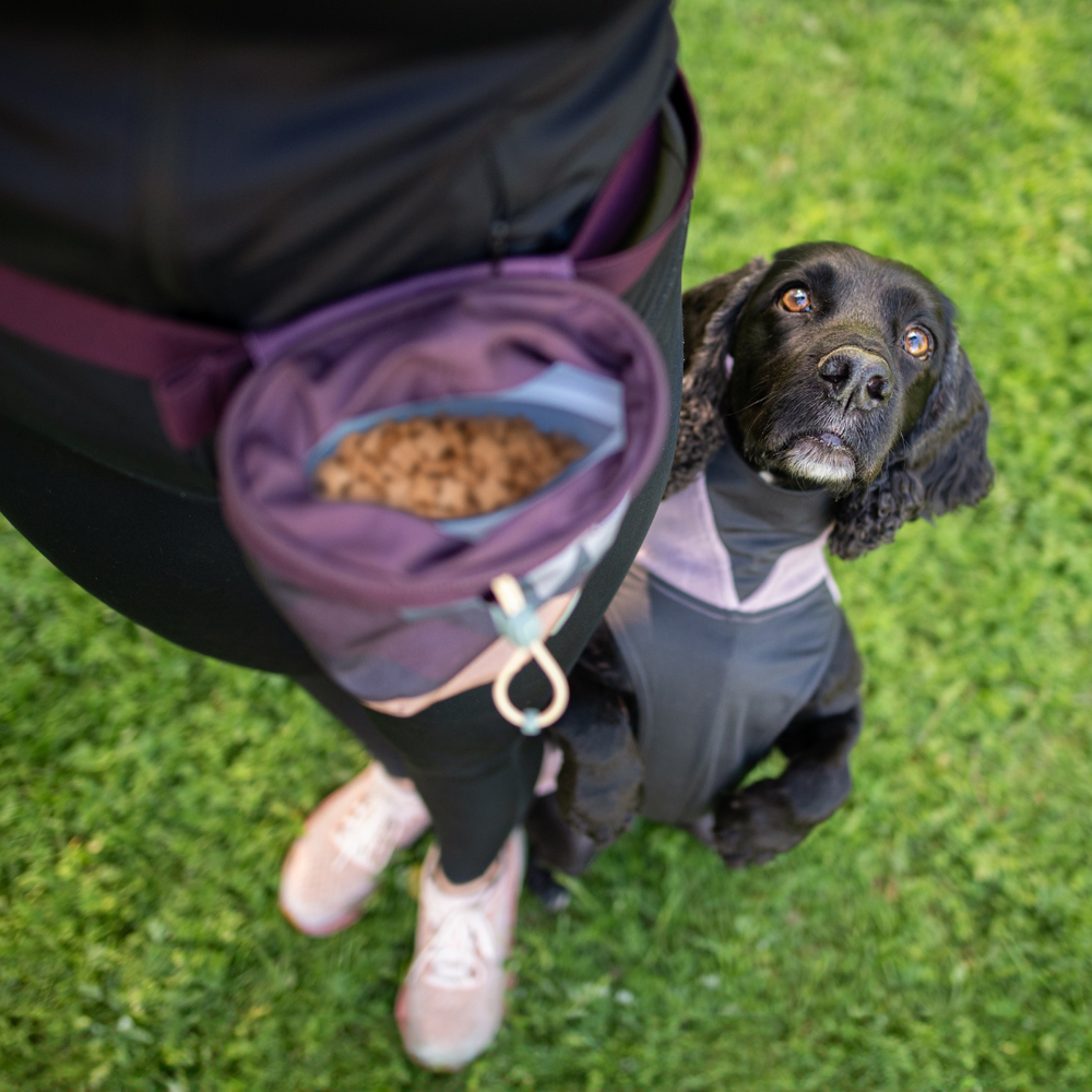 Pomppa Pomppa Treat Bag Pomppa Pomppa Treat Bag