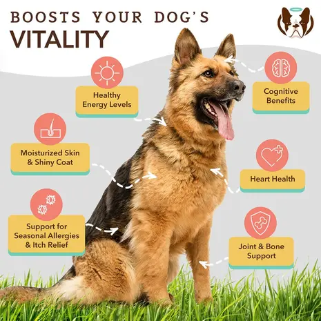 Natural Dog Company Natural Dog Company Ultra Omega Oil