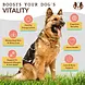 Natural Dog Company Natural Dog Company Ultra Omega Oil
