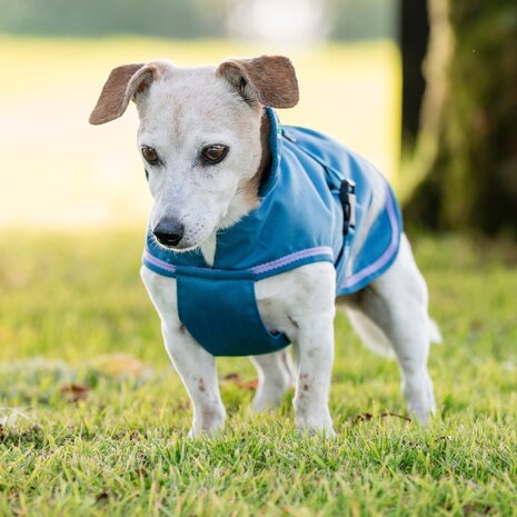 Bucas Bucas Hondenjas Blueberry 300 gr