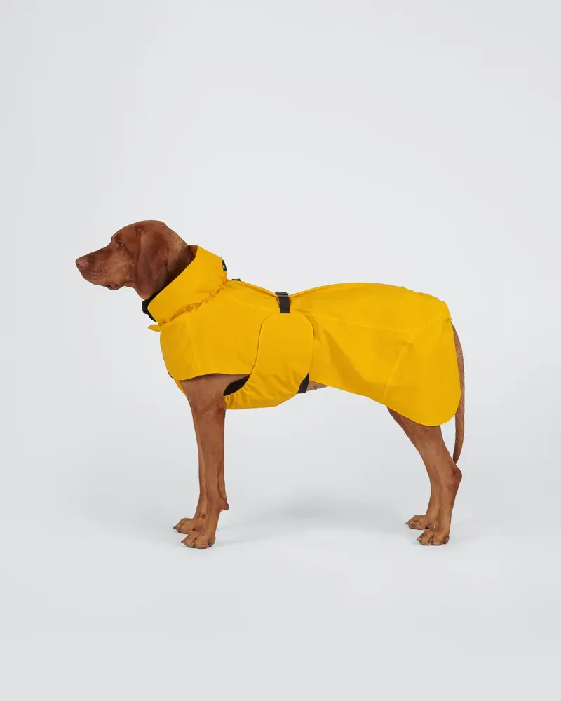 Paikka Paikka Visibility Raincoat Yellow Hondenjas