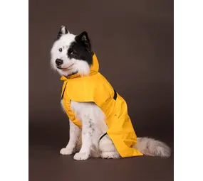 Paikka Paikka Visibility Raincoat Yellow Hondenjas