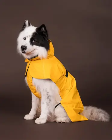 Paikka Paikka Visibility Raincoat Yellow Hondenjas