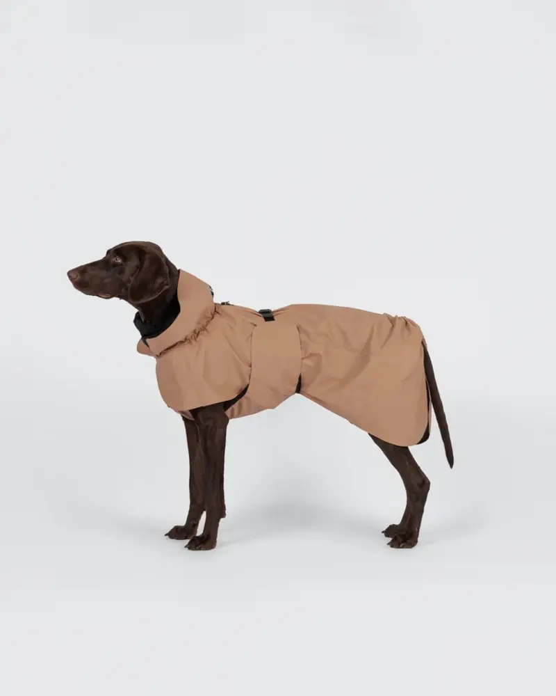 Paikka Paikka Visibility Raincoat Taupe Hondenjas
