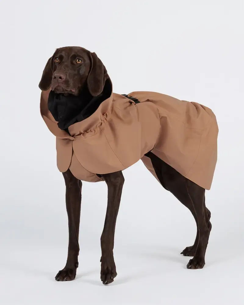 Paikka Paikka Visibility Raincoat Taupe Hondenjas