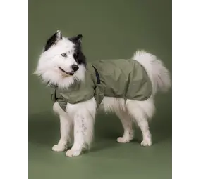Paikka Paikka Reflective Shell Jacket Olive Hondenjas